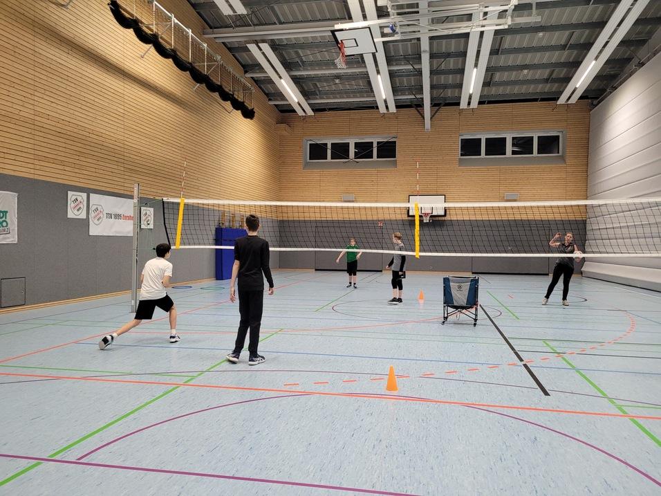 Eine Gruppe von f&uuml;nf Personen spielt Volleyball in einer Sporthalle mit Linien und Netzen.