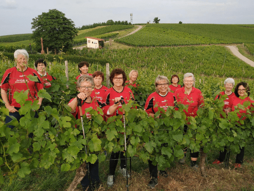 Nordic Walking Gruppe des TSV Zornheim Die Nordic-Walking Gruppe in den Weinbergen