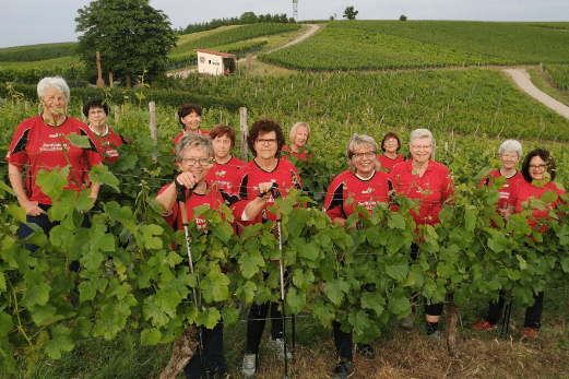Die Nordic-Walking Gruppe in den Weinbergen
